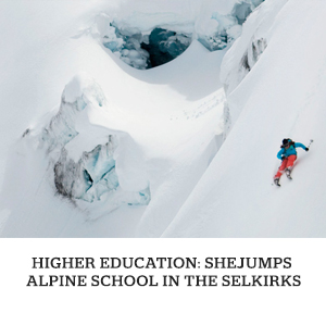 article_sub_feature_shejumps