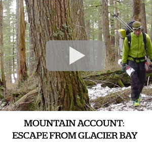 article_sub_feature_video