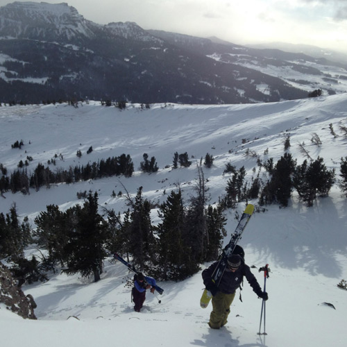 Reich gathers beta on early season conditions in the Absaroka Mountains. [Photo] Rachel Reich