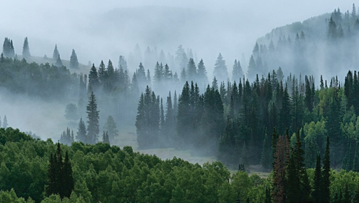 Bonanza Flats conservation marks win for Wasatch Backcountry Alliance