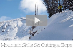 skicut_feature