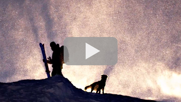 Video: Sun Dog