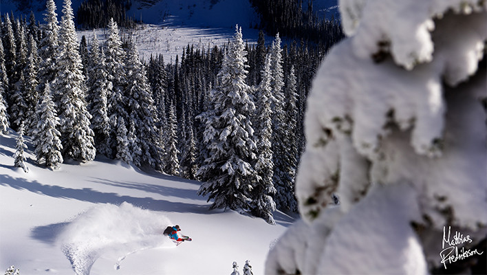 Photo of the Day: Powder and Pines