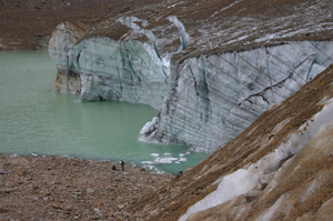 Cavell_Glacier_Alberta