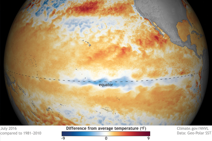 A sea surface temperature model of the Pacific Ocean from an August 10, 2016 NOAA report. Cooling indicates the beginning of a La Nina cycle. [Image] Courtesy NOAA—climate.gov