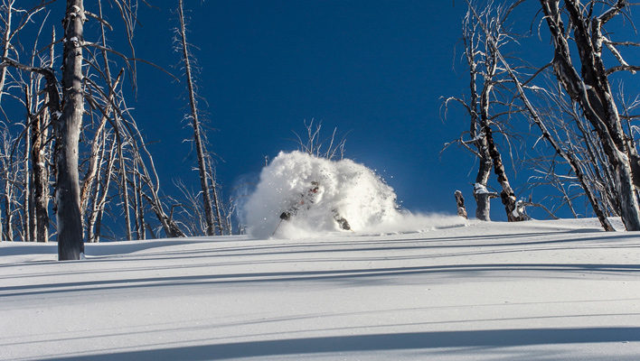 Jeff Cricco takes perfect pow shot, everyone quits to go skiing
