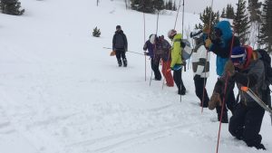 Mountain Skills: Professional vs. Recreational Avalanche Training…what’s in it for me?