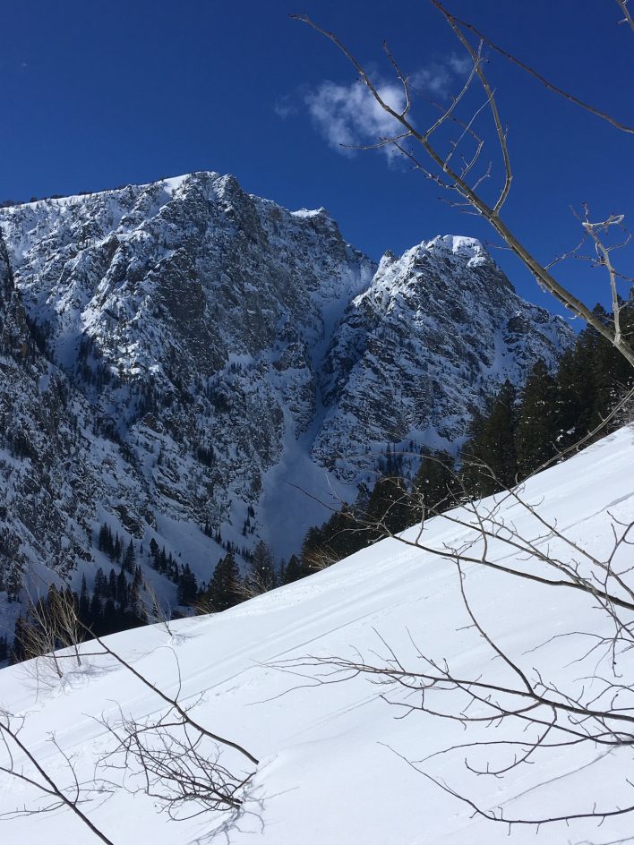 Skier dies in Grand Teton National Park