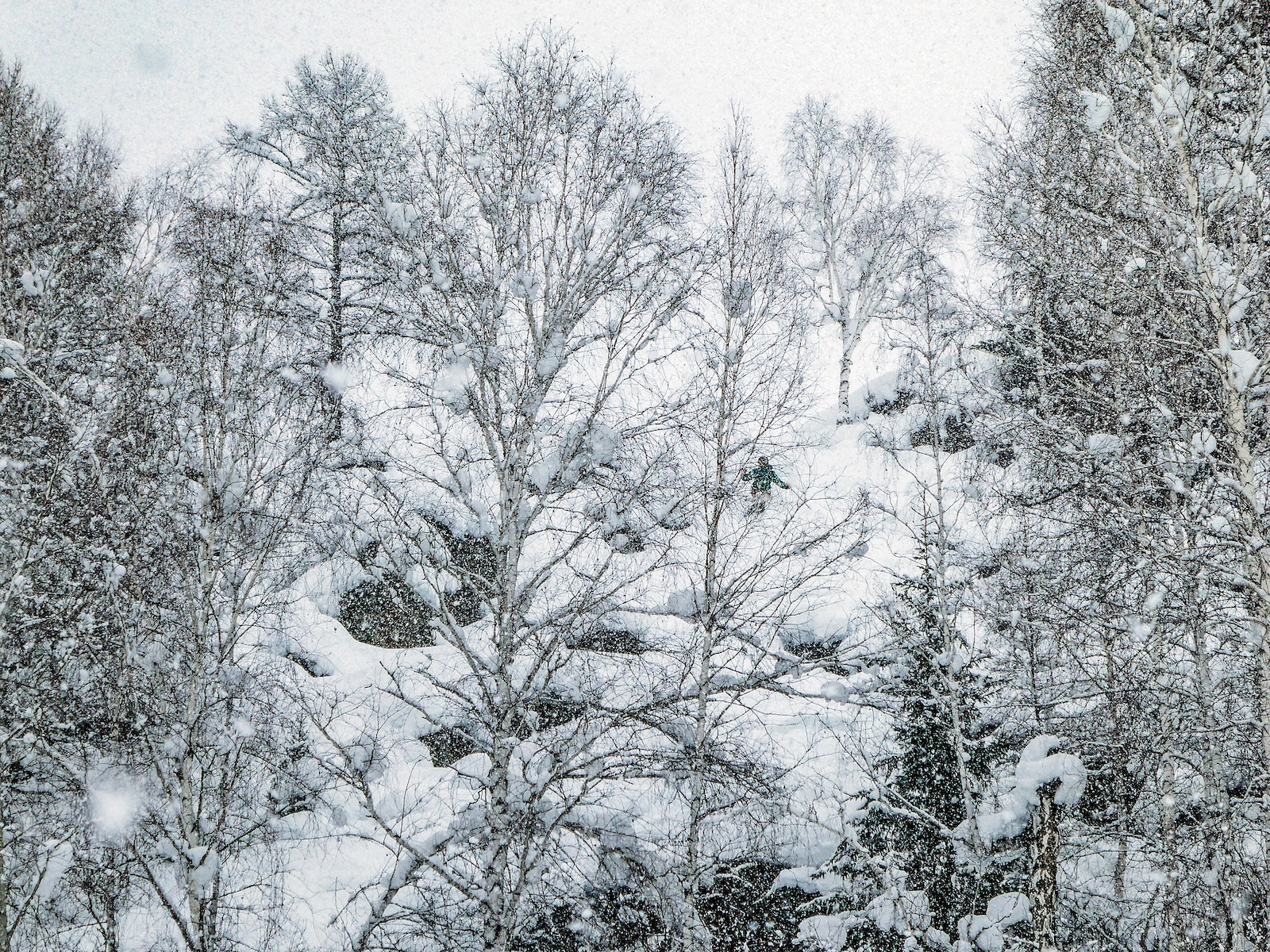 The Snow Hunters Pandemic Disruption History And Powder Skiing In   BCM OCT20 BL6 CMYK 4 ByKaitlynF 