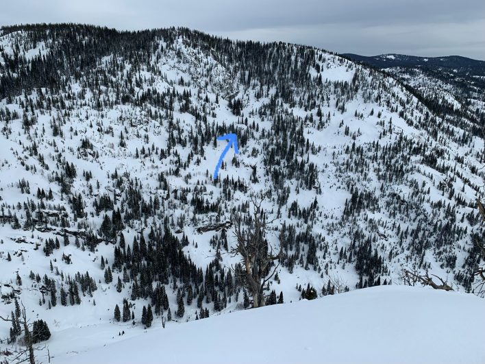 Skier Dies in Slide Near Colorado’s Buffalo Pass